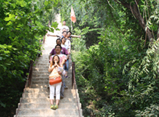 纳凉赏景活动 让表情去观光(图2)